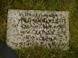 image of grave number 376505